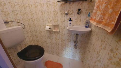 SomogyfokにあるApartment in Siofok/Balaton 19976の小さなバスルーム(トイレ、シンク付)