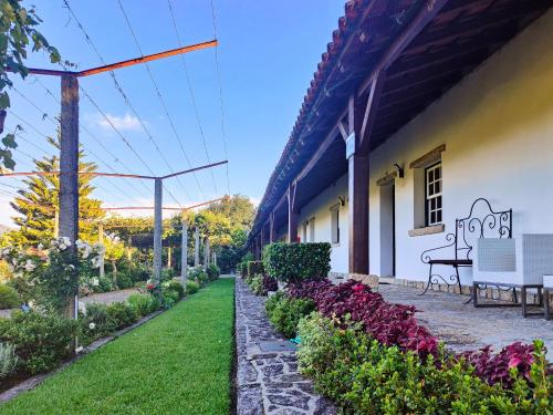Zahrada ubytování Quinta Dom Sapo - Agroturismo