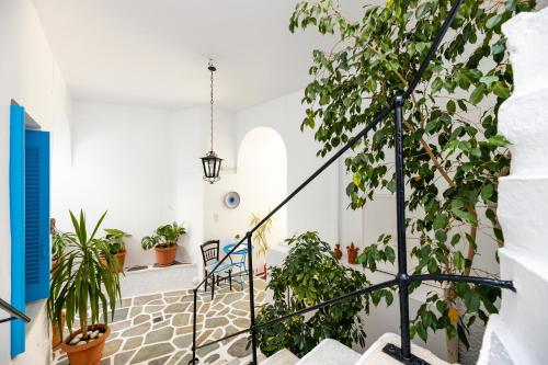 a staircase in a house with plants at Hotel Dina in Parikia