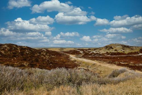 sonnenscheinsylt – Photos 2