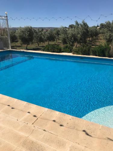 a large swimming pool with blue water at Finca La Rosalía in Setenil