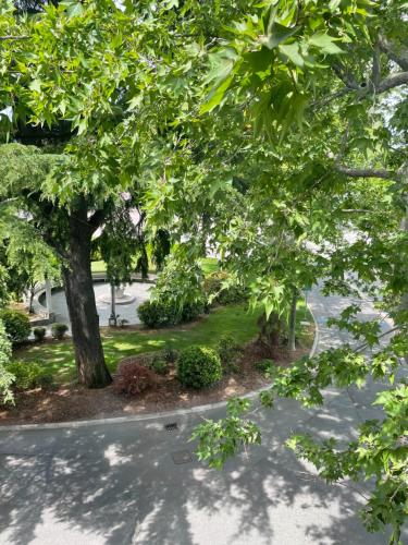 Κήπος έξω από το Apartments Nina
