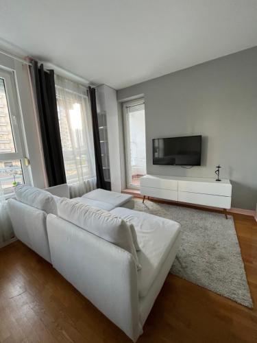 a white living room with a white couch and a tv at Studio Ana Belville in Belgrade