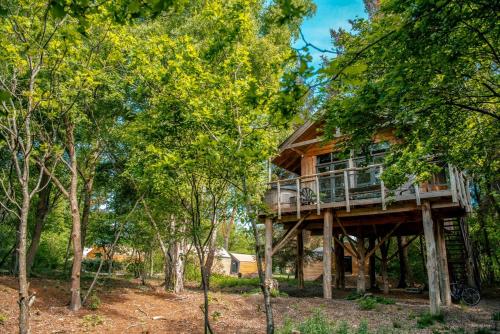 a tree house with a deck in the woods at EuroParcs Ruinen in Ruinen