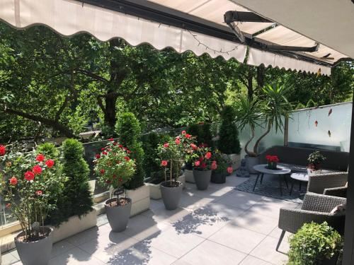 En have udenfor Sea Garden Apartment