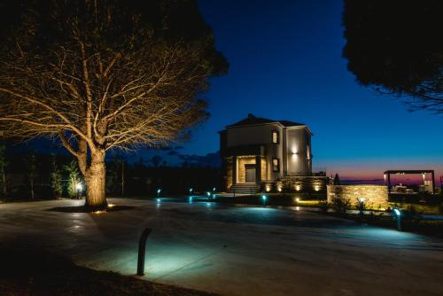 a building with a tree in front of it at night at Mirazur Seafront Sunset Villa in Preveza