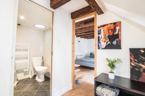 une salle de bain avec toilettes et miroir dans l'établissement La Petite Cathédrale Strasbourg séjour de 30 jours ou plus, à Strasbourg