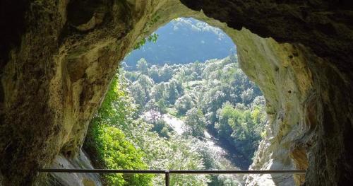a view from inside a cave looking out into a forest at L'échappée au jardin, yourte bucolique in Godinne