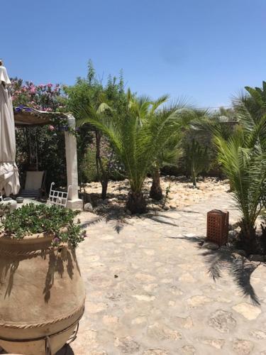 Κήπος έξω από το Villa Salvatore