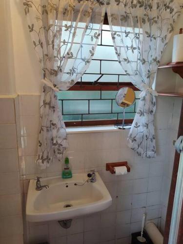 a bathroom with a sink and a window at Garden cottage in Cape Town