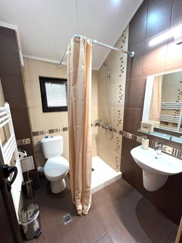 a bathroom with a toilet and a shower and a sink at Rodopski Ailyak in Dospat