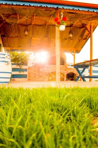 a house with a wooden roof and some green grass at La Konac in Murighiol