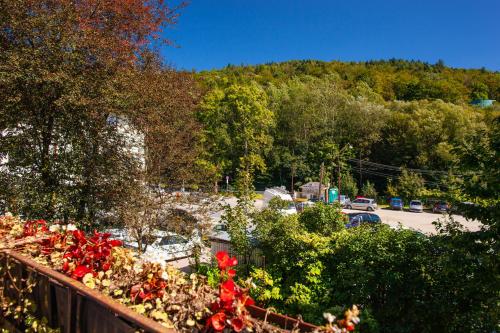 vistas a un jardín con árboles y a un aparcamiento en Apartament Royal Centrum, en Krynica-Zdrój