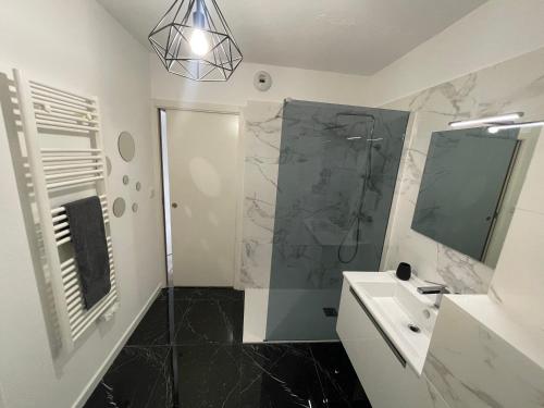 a bathroom with a shower and a sink at Charmant T2 proche de la plage et au calme in Ajaccio