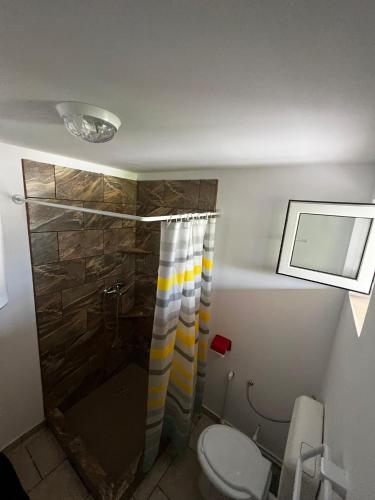 a bathroom with a shower and a toilet at Casa Anhela in Corbu