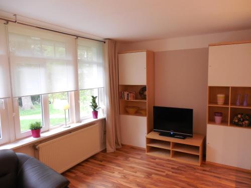 a living room with a television and two windows at Apartment Haus Brüchert in Wernigerode