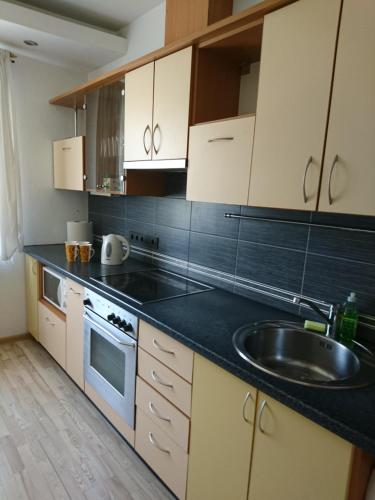 a kitchen with a sink and a counter top at Link Kauno marių... in Kaunas