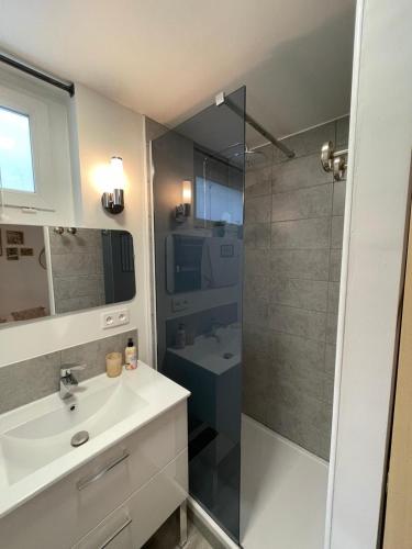 une salle de bain avec une douche, un lavabo et des toilettes dans l'établissement Superbe appartement, à proximité du centre d'Arles, à Arles