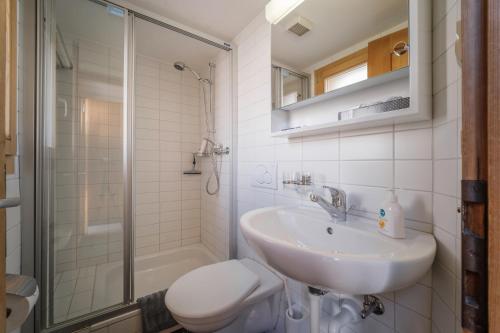 a bathroom with a sink and a toilet and a shower at Chalet Höckli Wohnung 1. in Arosa
