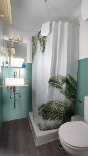 a bathroom with a shower with a toilet and a sink at Pensión Playa in Puerto de Mogán