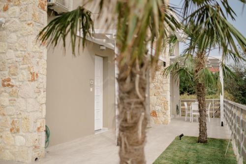 a palm tree in front of a house at casale in Nikiti