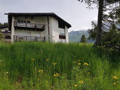 a house on top of a hill with a field of flowers at Arp (470 Bä) OG in Valbella