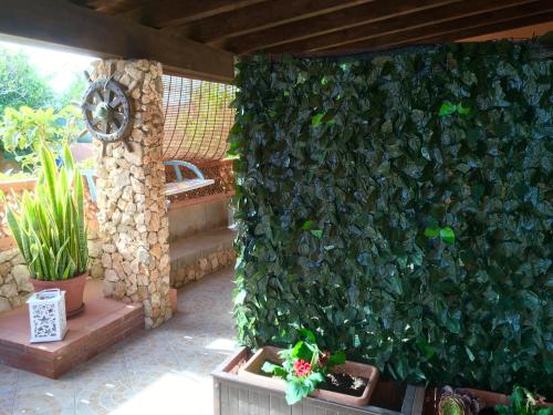 a green wall with plants and a clock on it at A due passi da Cala Pisana in Lampedusa