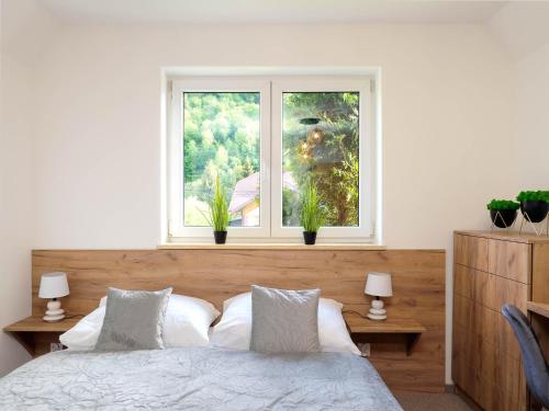 a bedroom with a bed and two windows at Osada turystyczna Malinów in Szczawnica