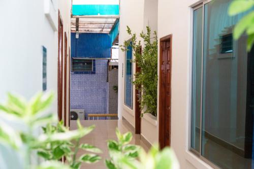 an empty corridor of a building with plants at Hotel La Cascada - Lago Agrio in Nueva Loja