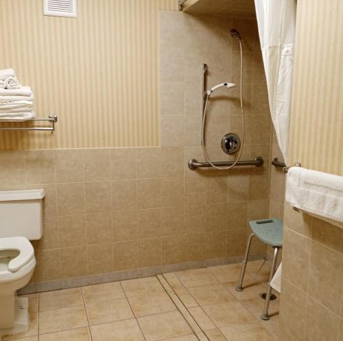 a bathroom with a shower and a toilet at Onley Inn in Onley