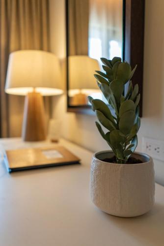  Manchebo Beach Resort and Spa -  Room  picture :   Tea/Coffee maker    Shower    Safety deposit box                           