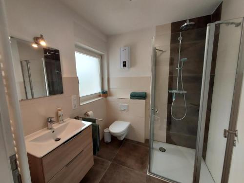 a bathroom with a shower and a sink and a toilet at Ferienhaus Zum Prinzenkopf in Alf