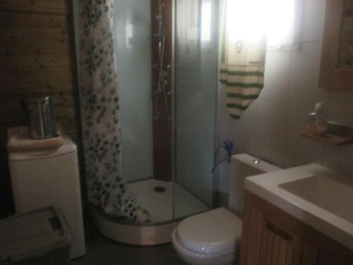 W łazience znajduje się prysznic, toaleta i umywalka. w obiekcie Mas Torrenaps w Argelès-sur-Mer