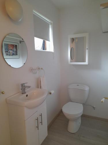 a bathroom with a toilet and a sink and a mirror at Country Dream - Langholt 2 in Selfoss