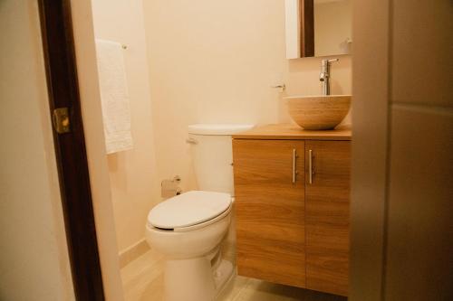 a bathroom with a white toilet and a sink at Hotel Fratelli in Aguascalientes