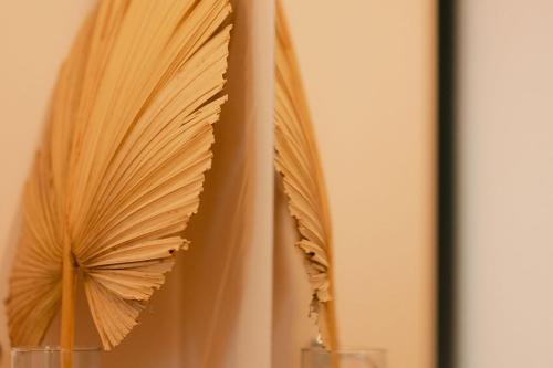 a pair of folded umbrellas hanging on a wall at Hotel Fratelli in Aguascalientes