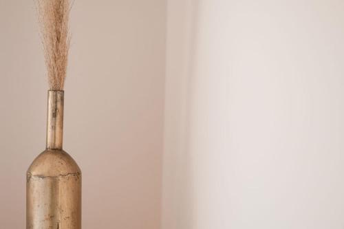 a vase filled with dirt on a white wall at Hotel Fratelli in Aguascalientes