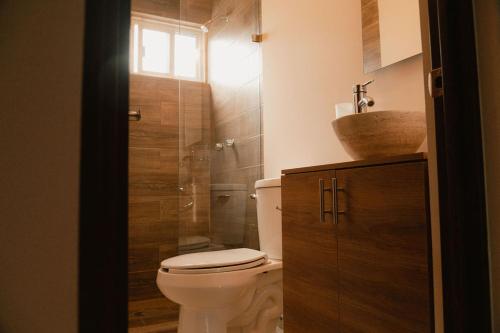 a bathroom with a toilet and a shower and a sink at Hotel Fratelli in Aguascalientes