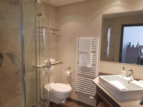 a bathroom with a toilet and a sink and a shower at Hotel-Restaurant Pfälzer Hof in Edenkoben