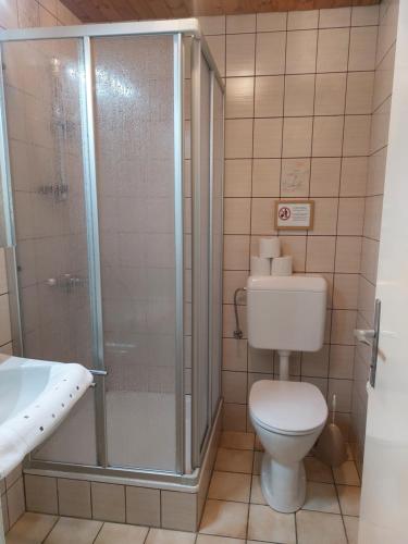 a bathroom with a shower and a toilet and a sink at Schlaferhof - Urlaub am Bauernhof in Fresach