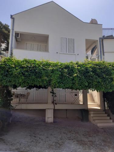 Apartments Vinea