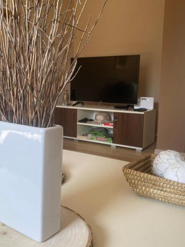 a living room with a tv and a vase with sticks at Kuća za odmor Milan in Šarengrad