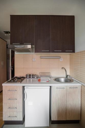 a kitchen with wooden cabinets and a sink at Vila Plamenac in Divčibare