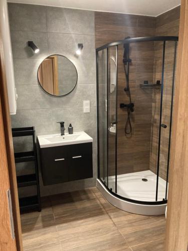 W łazience znajduje się prysznic, umywalka i lustro. w obiekcie Domki Kalimera Rewal w Rewalu