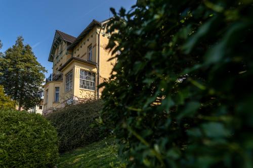 a house on a hill with bushes in front of it at Vila Heide in Česká Kamenice