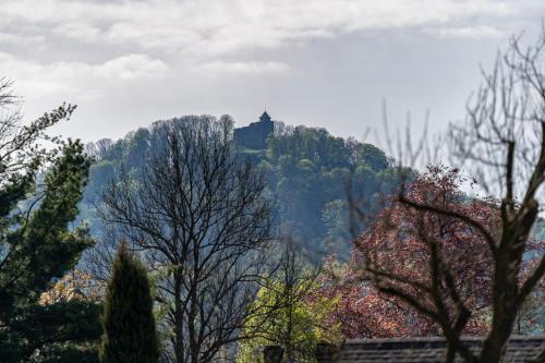 a castle on top of a mountain with trees at Vila Heide in Česká Kamenice
