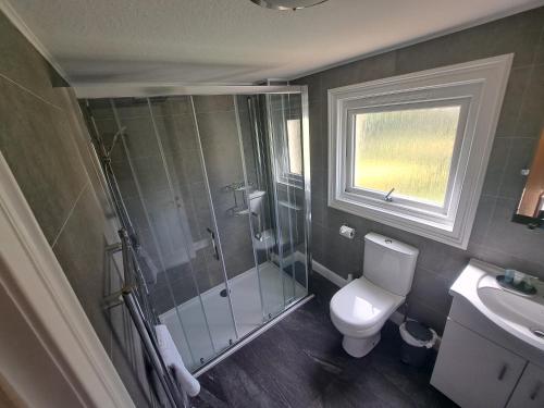 a bathroom with a shower and a toilet and a sink at Clematis Cottage, Fortrose in Fortrose