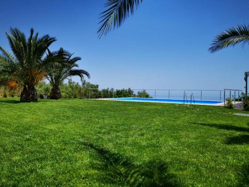 un campo de césped con palmeras y una piscina en Petralava Etna B&B, en Giarre