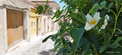 Φωτογραφία από το άλμπουμ του A casa ra cummari σε Palazzolo Acreide