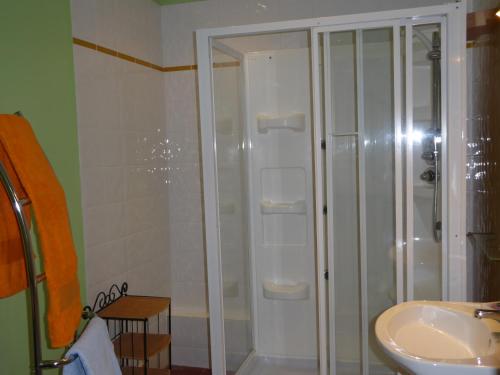 een badkamer met een douche en een wastafel bij Maison à Saint-Nicolas des Biefs in Saint-Nicolas-des-Biefs